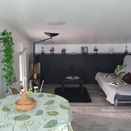 Appartement Cocooning Auterive Auterive  Dış mekan fotoğraf