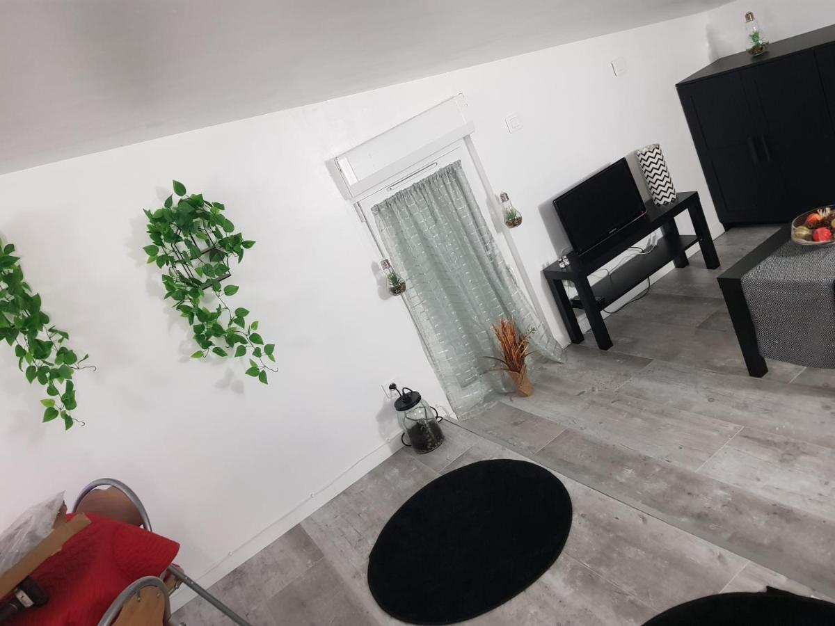 Appartement Cocooning Auterive Auterive  Dış mekan fotoğraf